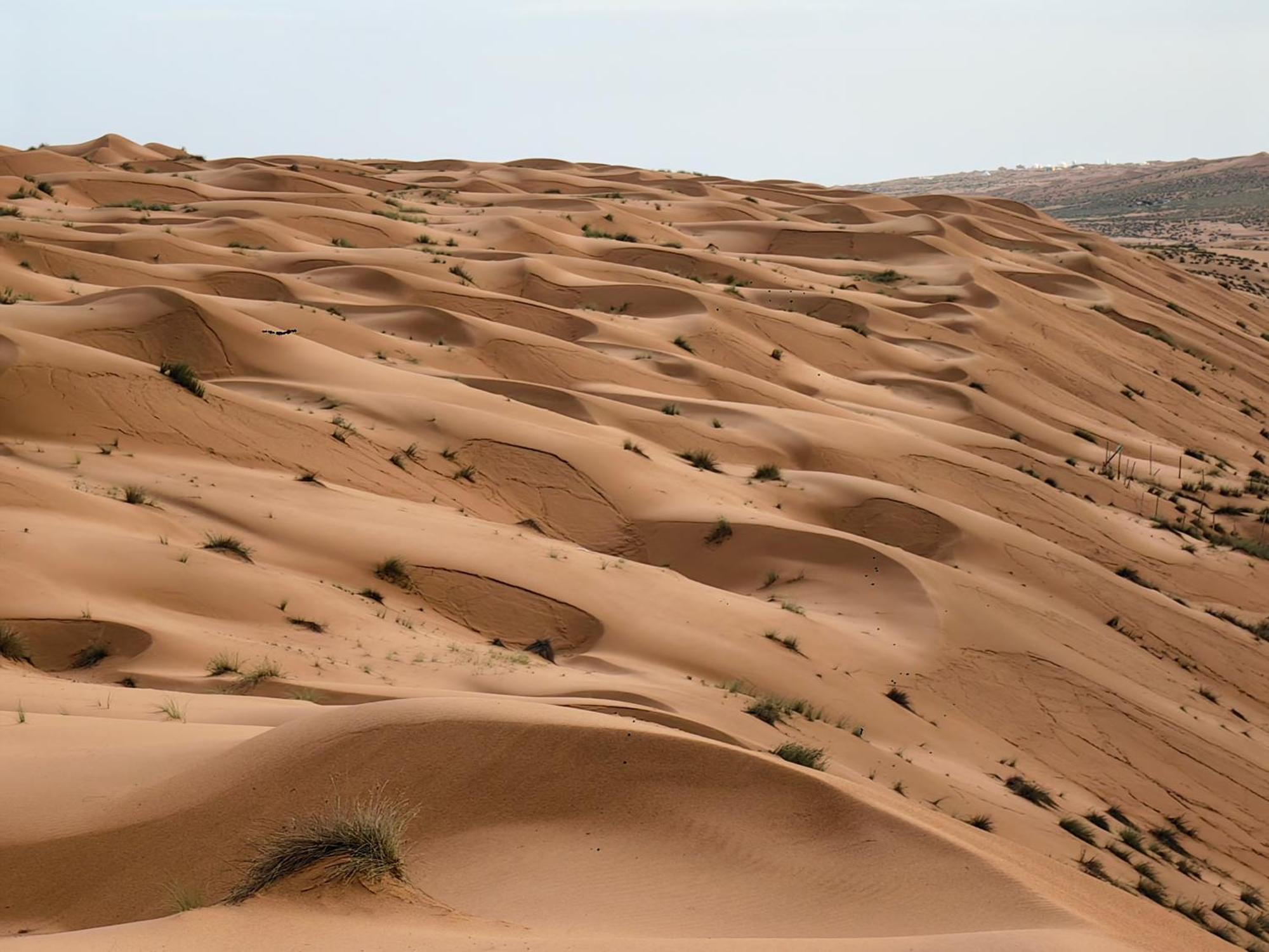 Desert Rose Camp Bidiya Ngoại thất bức ảnh